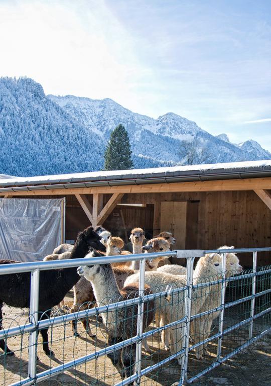 Pension Restner Inzell Exterior photo